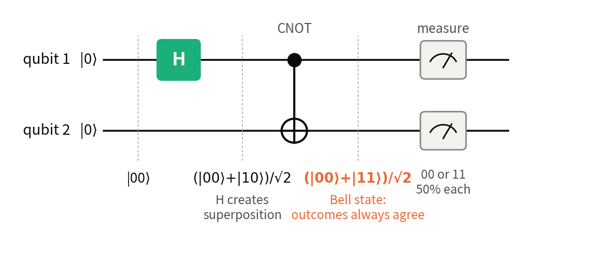 Quantum circuit diagram: two horizontal lines represent two qubits, both starting in |0⟩; the first qubit passes through an H gate, a CNOT gate then acts on both qubits, and both qubits are measured; below the circuit the intermediate states |00⟩, (|00⟩+|10⟩)/√2 and (|00⟩+|11⟩)/√2 are shown.